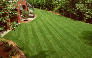 what is overseeding a lawn green bee lawn care