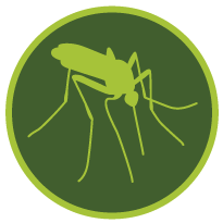 Best Houston Lawn Care, Mosquito and Fire Ant Control | Green Bee