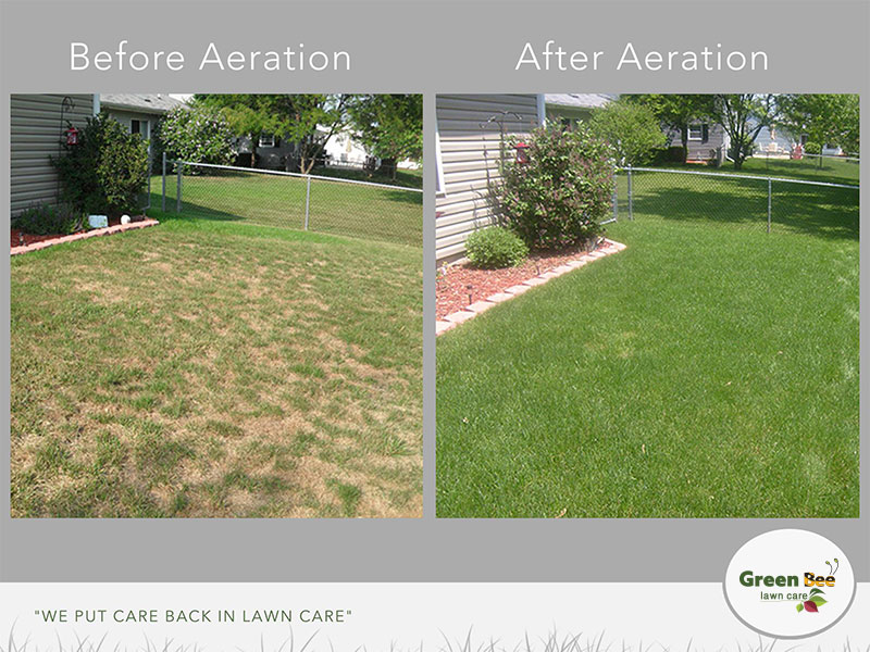 Best Houston Lawn Care, Mosquito and Fire Ant Control | Green Bee