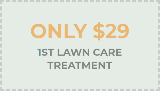 Lawn Care Application $29 Coupon Lawn Care Application $29 Coupon