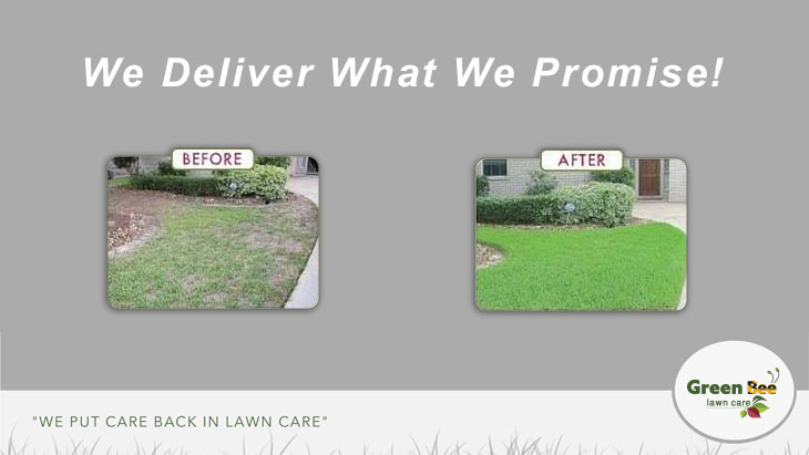 Why Green Bee Lawn Care Why Green Bee Lawn Care