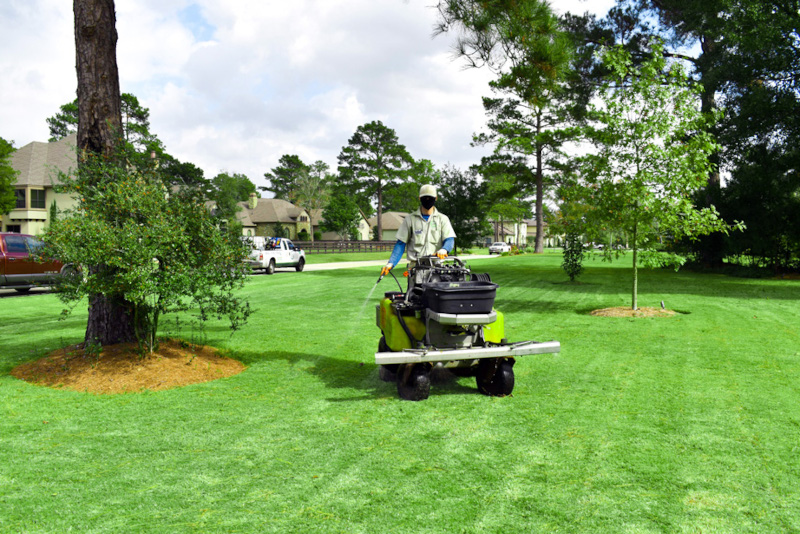 Houston lawn treatment services