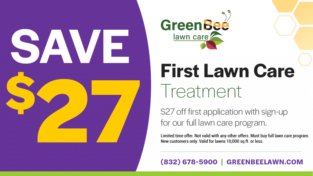 What is Lawn Treatment and Why is it Important? Green Bee