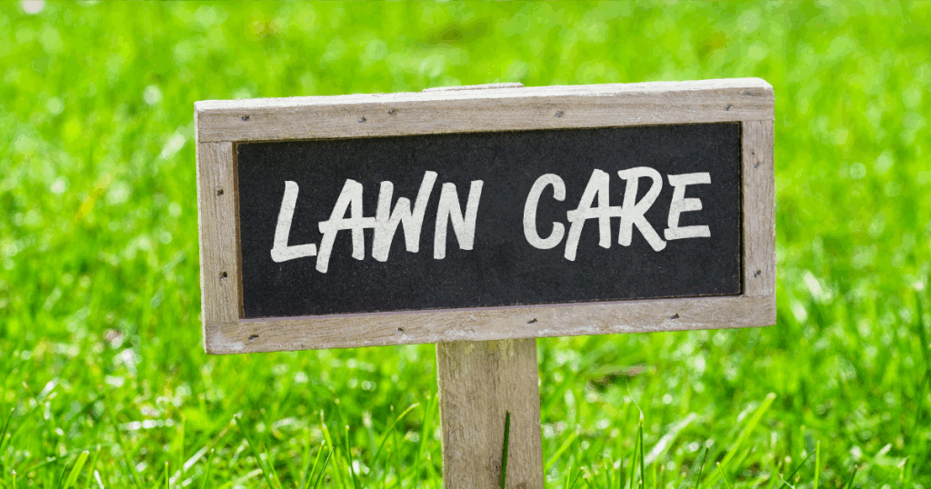 what is lawn treatment green bee lawn care